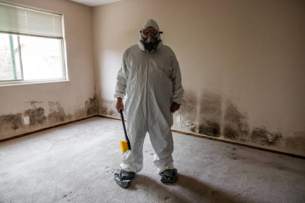 Home Mold Removal in Falfurrias, TX